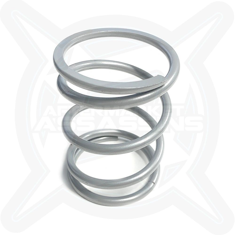 AA Polaris P90X Primary Clutch Springs