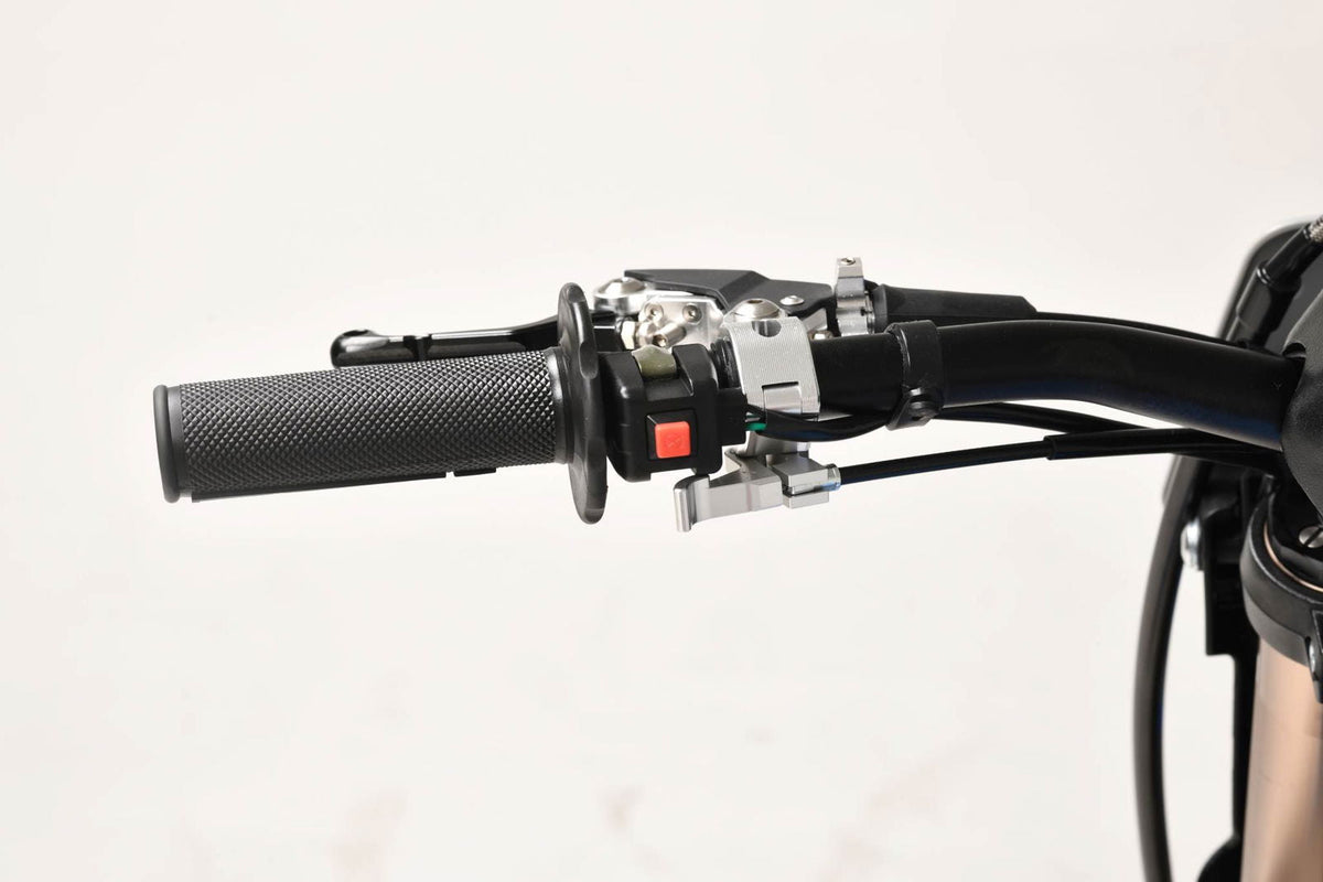 TrailMaster MX250-Pro Dirt Bike, 5-Speed Manual, Dual Disc Brakes, Electric Start (21/18) Wheels