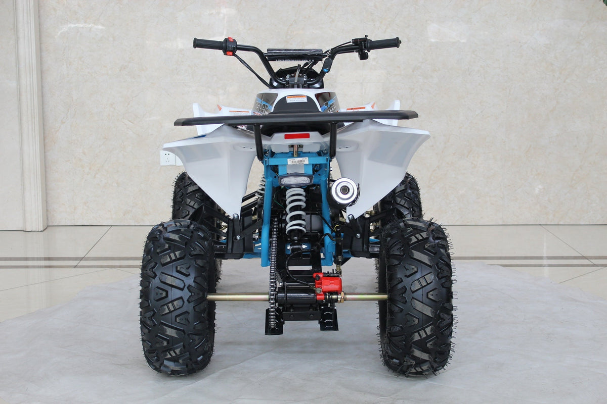 TrailMaster C125 125cc Sport ATV, Automatic with Reverse, 8-inch Wheels, Ages 9-12