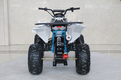 TrailMaster C125 125cc Sport ATV, Automatic with Reverse, 8-inch Wheels, Ages 9-12