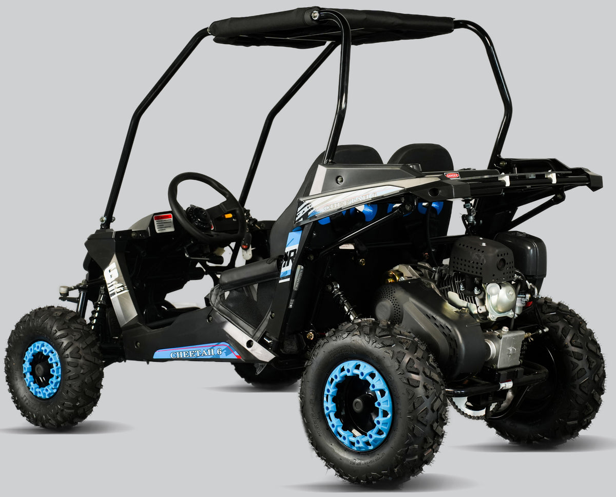 TrailMaster Cheetah-6 Go Kart, 5.5hp Electric Start, Remote Start/Kill with Reverse, Kids Ages 4-9