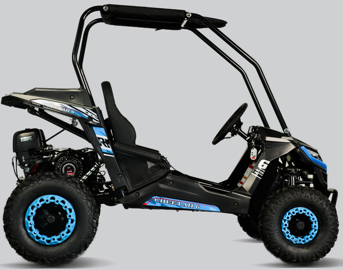 TrailMaster Cheetah-6 Go Kart, 5.5hp Electric Start, Remote Start/Kill with Reverse, Kids Ages 4-9