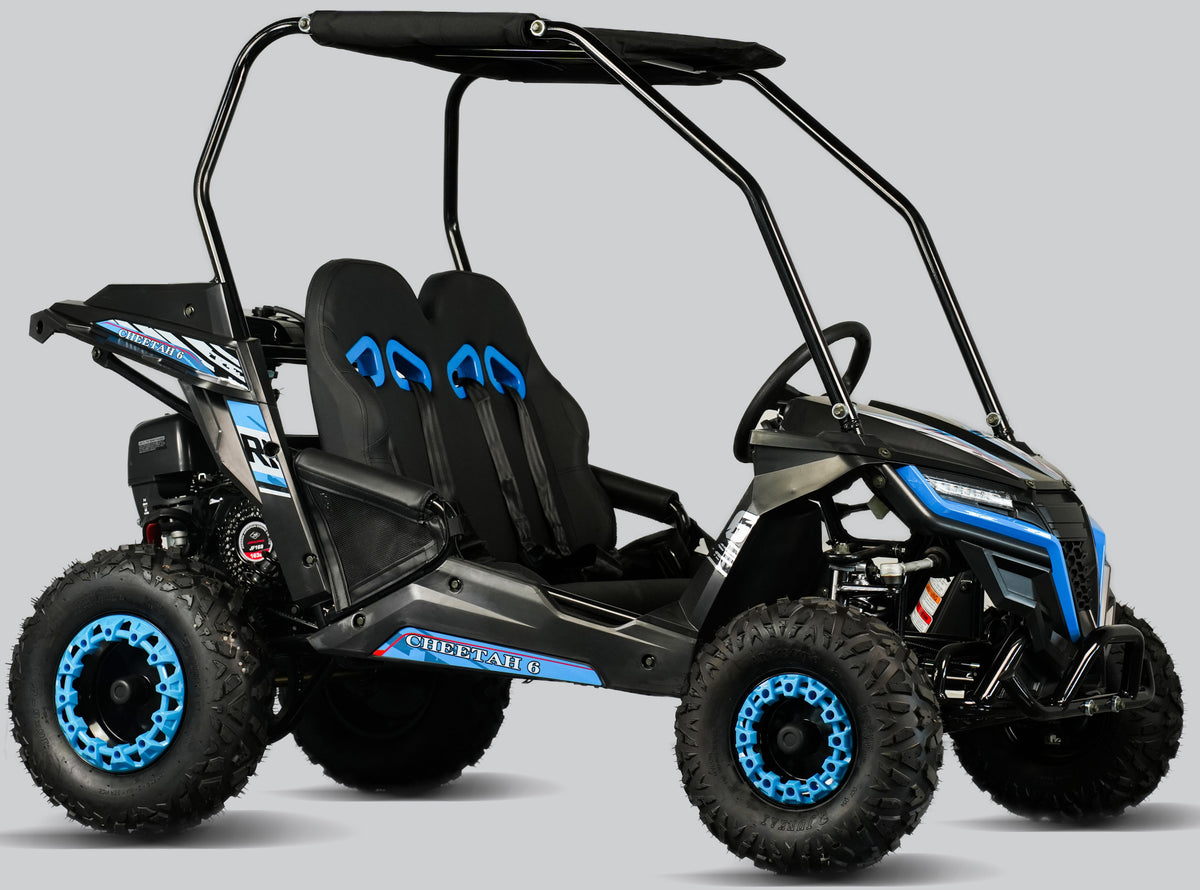 TrailMaster Cheetah-6 Go Kart, 5.5hp Electric Start, Remote Start/Kill with Reverse, Kids Ages 4-9