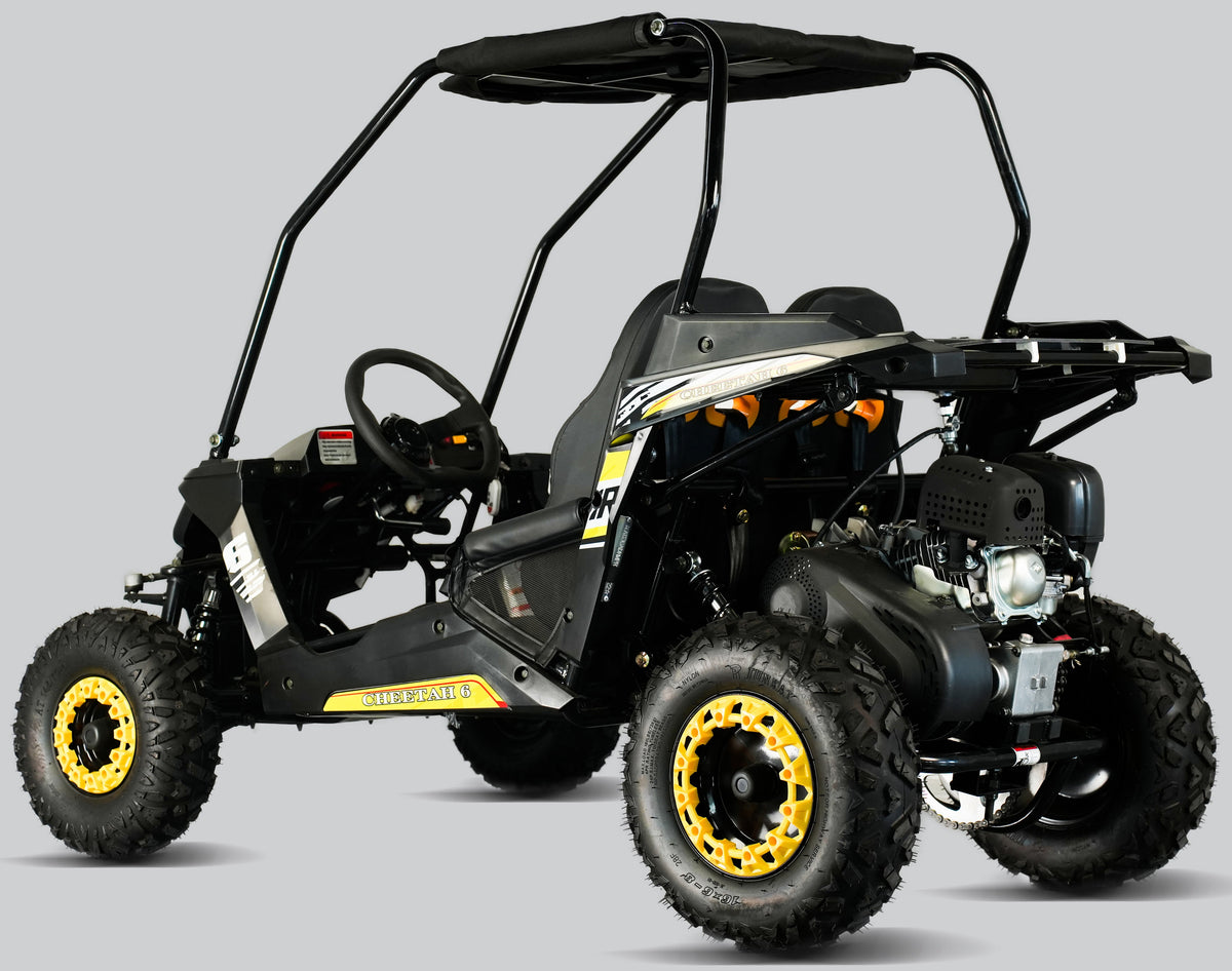 TrailMaster Cheetah-6 Go Kart, 5.5hp Electric Start, Remote Start/Kill with Reverse, Kids Ages 4-9