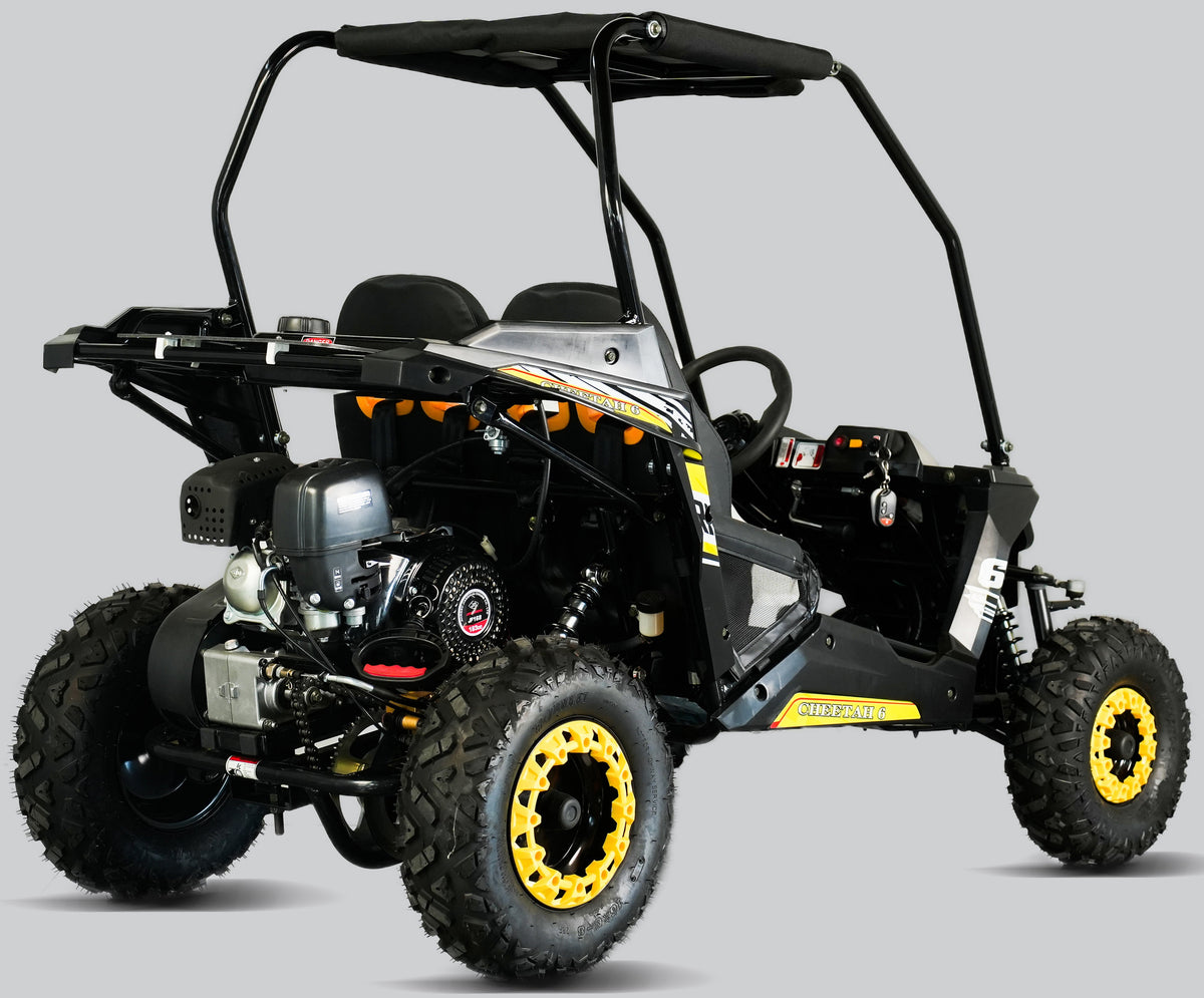 TrailMaster Cheetah-6 Go Kart, 5.5hp Electric Start, Remote Start/Kill with Reverse, Kids Ages 4-9