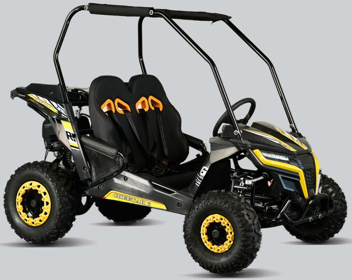 TrailMaster Cheetah-6 Go Kart, 5.5hp Electric Start, Remote Start/Kill with Reverse, Kids Ages 4-9