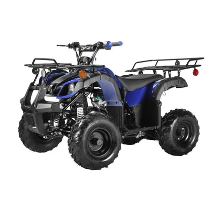 Mini 125cc Utility Style ATV, Electric Start, Automatic with Reverse, 7-inch Wheels, Ages 9-12