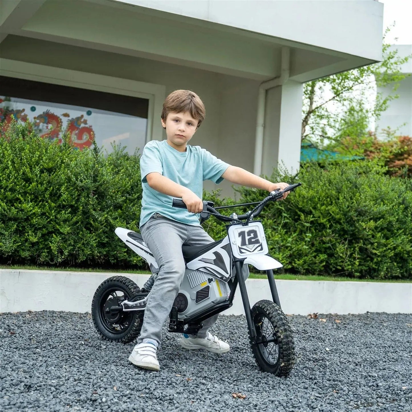 36V Freddo Electric Dirt Bike with Brushless Motor