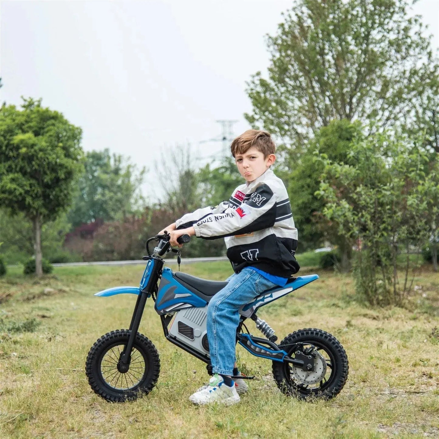 36V Freddo Electric Dirt Bike with Brushless Motor