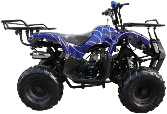 Mini 125cc Utility Style ATV, Electric Start, Automatic with Reverse, 7-inch Wheels, Ages 9-12