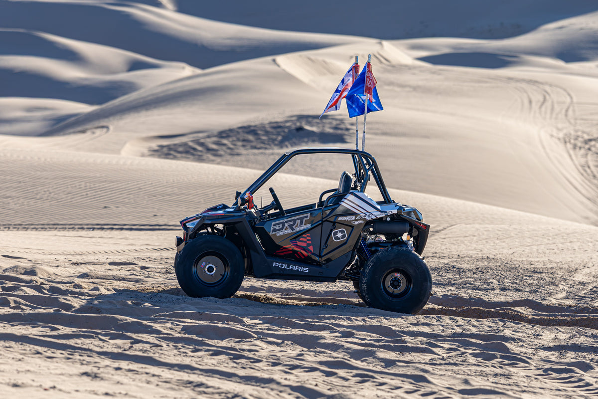 Polaris RZR 200 Standard Radius Cage