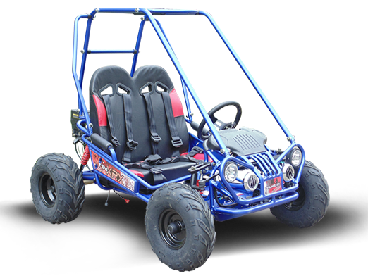 TrailMaster MINI XRX/R+ Go Kart, 5.5hp Parental Remote Control with Reverse, Kids Ages 4-9
