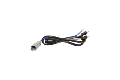 UTV Stereo Defender HD11 BRP GO! Subwoofer RCA Output Harness - 3' | UTVS-DEF2-GO-SUB-OUT-3