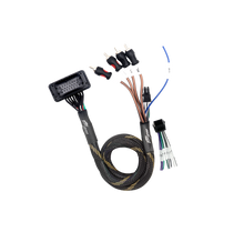 '20-'26 RZR® Pro Series Ride Command Front & Rear RCA Output + Speaker Wire & Remote | UTVS-PRO-RC-RCA-OUT