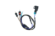'20-'26 RZR® Pro Series Ride Command Subwoofer RCA Output Harness + Remote | UTVS-PRO-RC-SUB-OUT