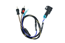 '20-'26 RZR® Pro Series Ride Command Subwoofer RCA Output Harness + Remote | UTVS-PRO-RC-SUB-OUT