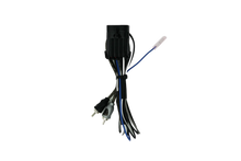 RZR® Ride Command Amplifier Harness + Remote | UTVS-RZR-RC-RCA-REM