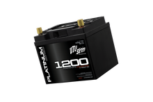 Platinum Series AGM 1200 Battery | UTVS-1200