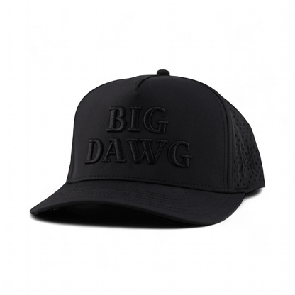 Big Dawg Snapback Hat