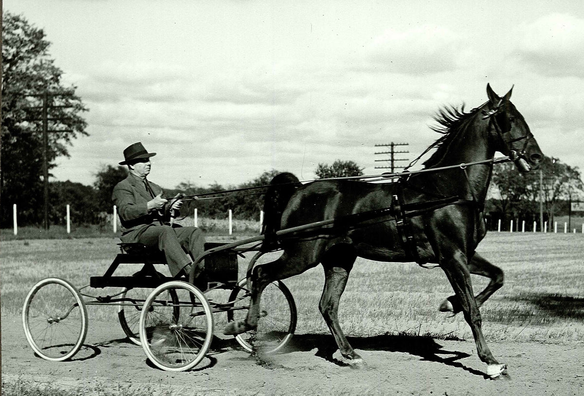 It started with horses