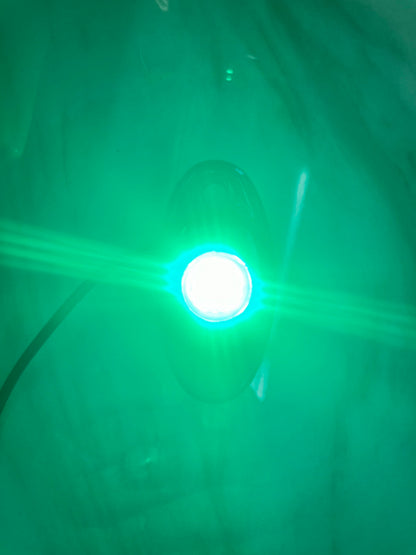 Lucky Whips Dome Lights
