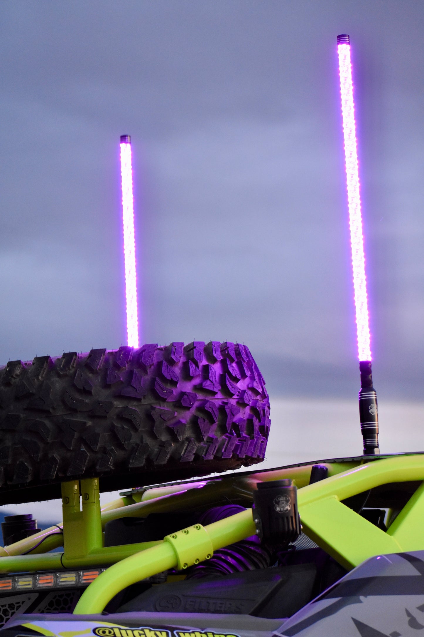 OG PRO WHIPS
