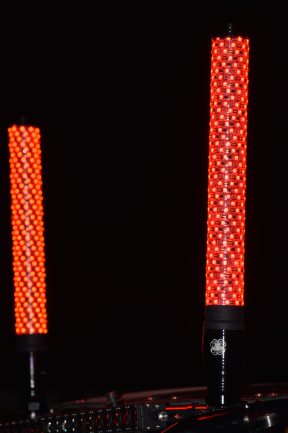 XTREME FAT WHIPS