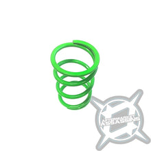 AA Can Am 6 Arm Primary Springs