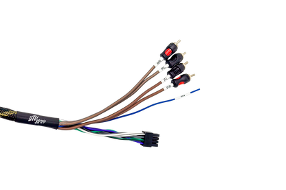 '20-'26 RZR® Pro Series Ride Command Front & Rear RCA Output + Speaker Wire & Remote | UTVS-PRO-RC-RCA-OUT